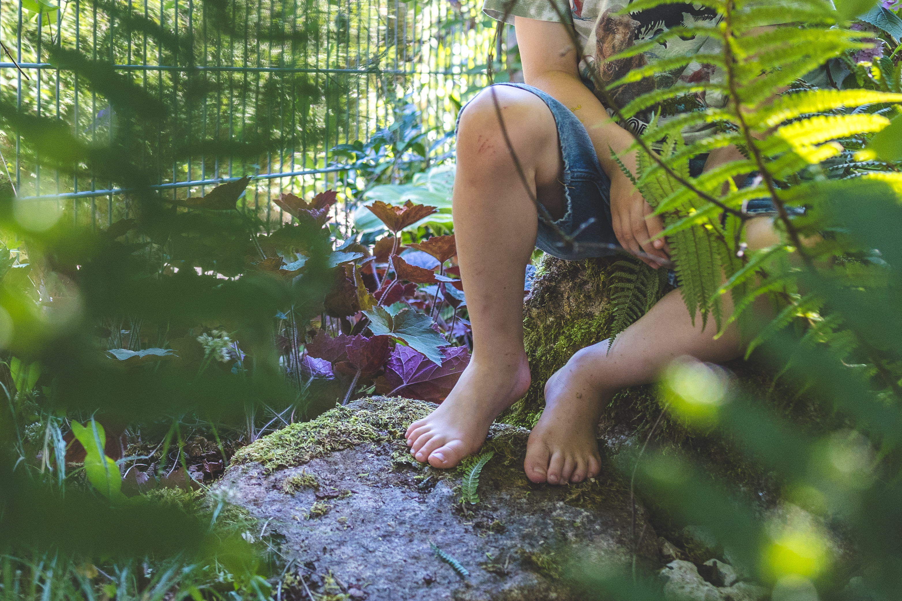 260711_Familie_Hauer-107
